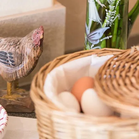 Triendlhof بيت ضيافة Zöblen